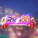Rich88 là gì?